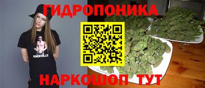спиды Кинель