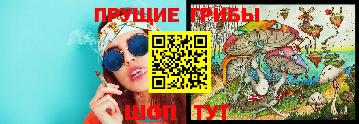 Кропоткин  Псилоцибиновые грибы прущие грибы  Псилоцибиновые грибы ЛСД  Вход с VPN 